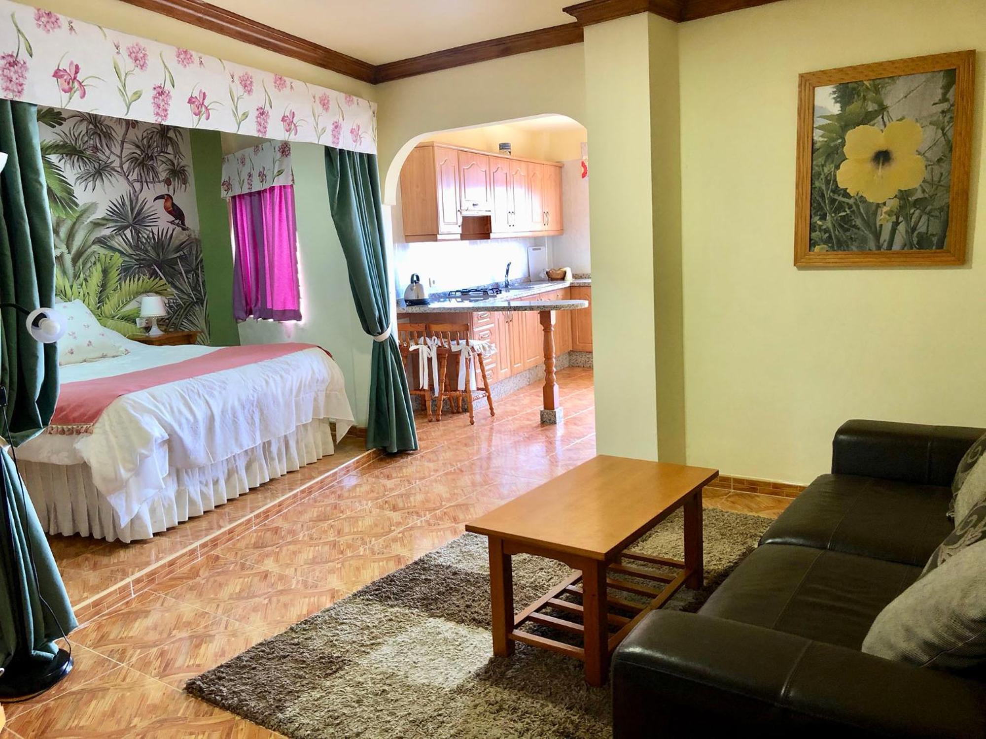Vv Apartamentos Estrella Del Norte Icod De Los Vinos Extérieur photo